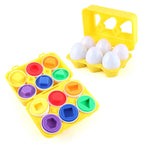 Egg Matching Puzzle Toy