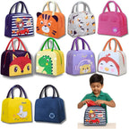 Insulated Lunch bag