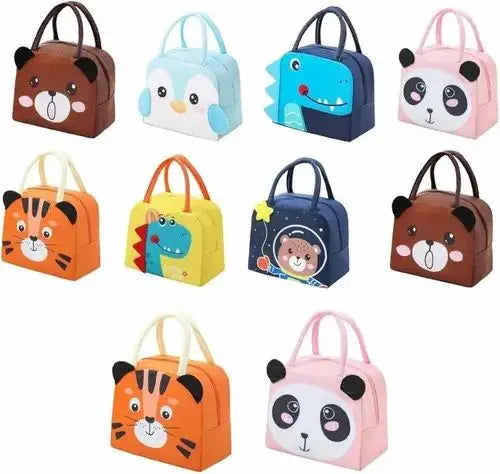 Insulated Lunch bag