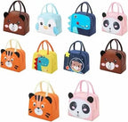 Insulated Lunch bag