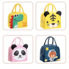 Insulated Lunch bag
