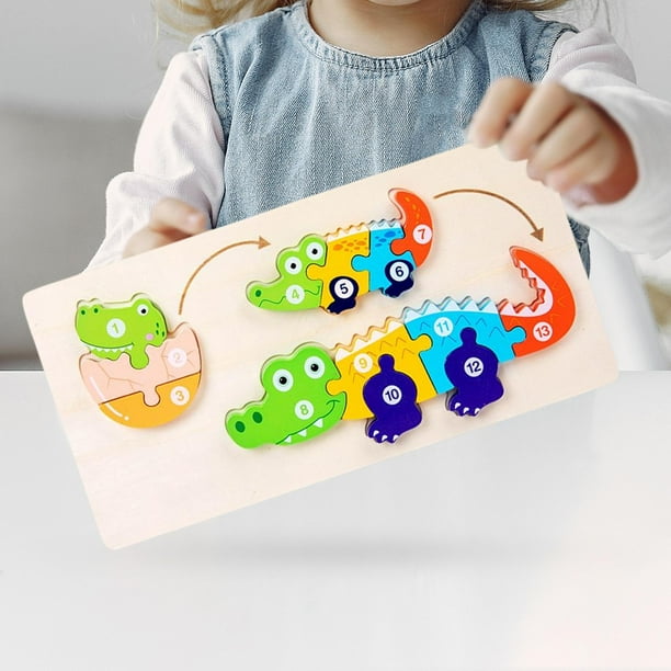 Life cycle Puzzle