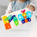 Life cycle Puzzle
