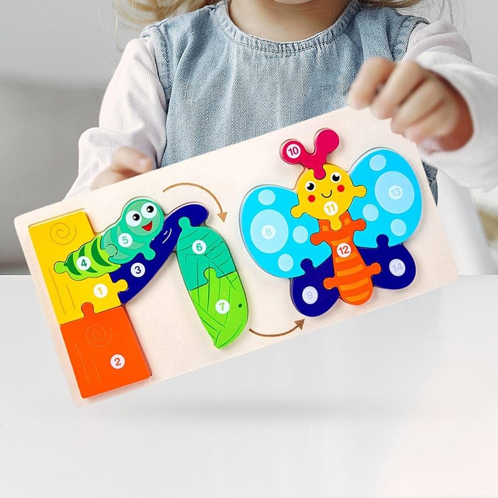 Life cycle Puzzle