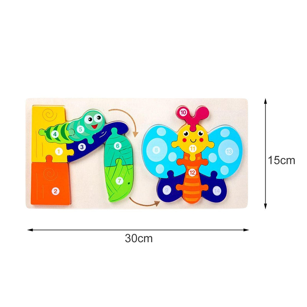 Life cycle Puzzle