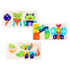 Life cycle Puzzle