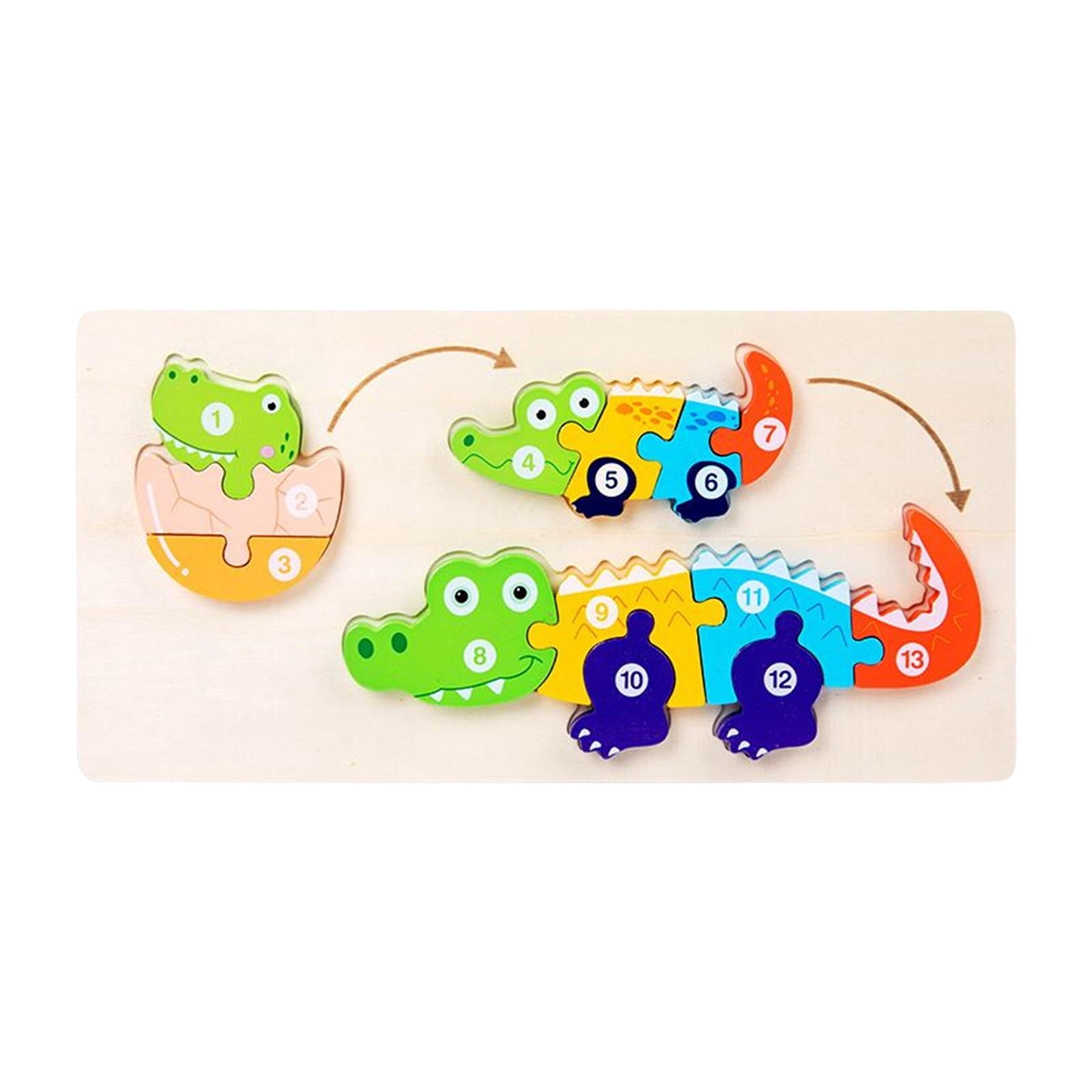 Life cycle Puzzle