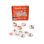 Food chain / growth cycle