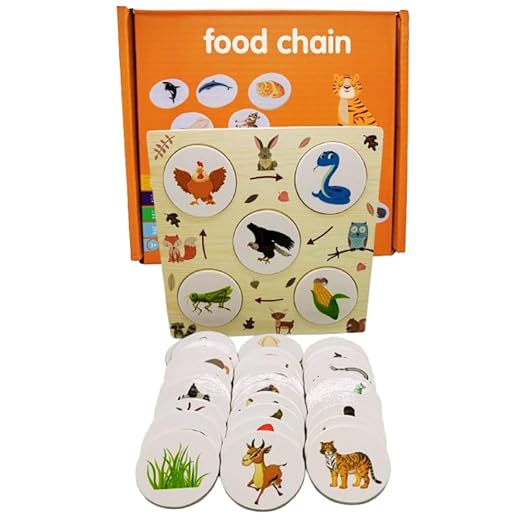 Food chain / growth cycle