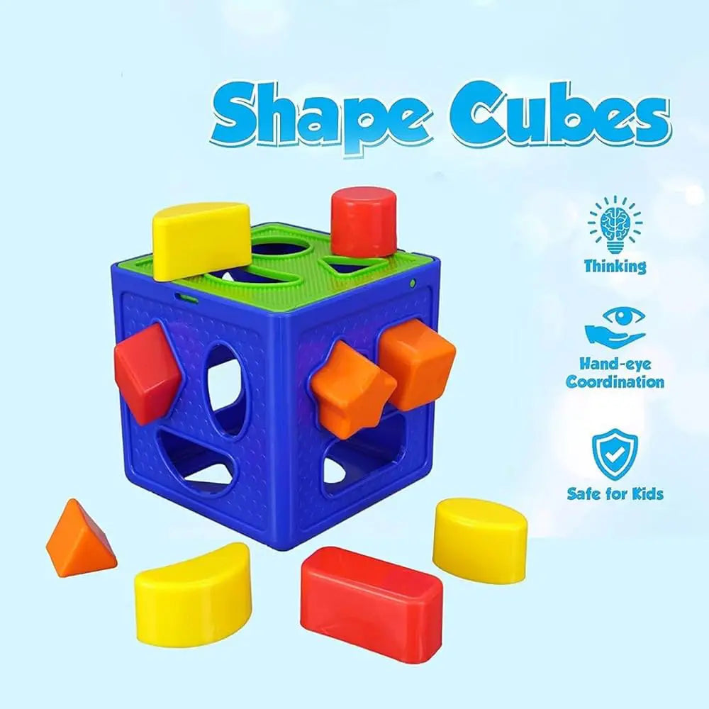 Shape Sorter Box