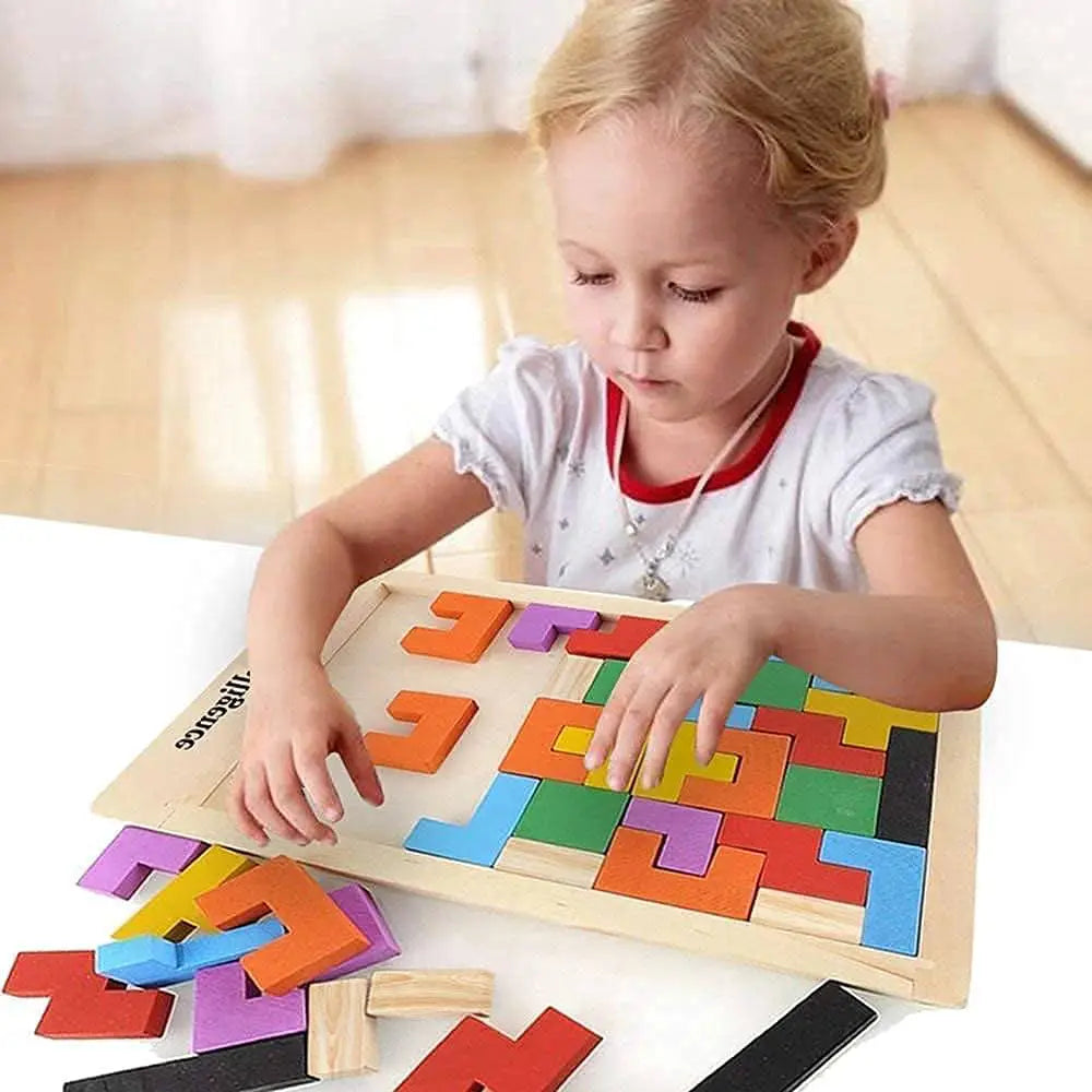 Wooden Intelligence puzzle
