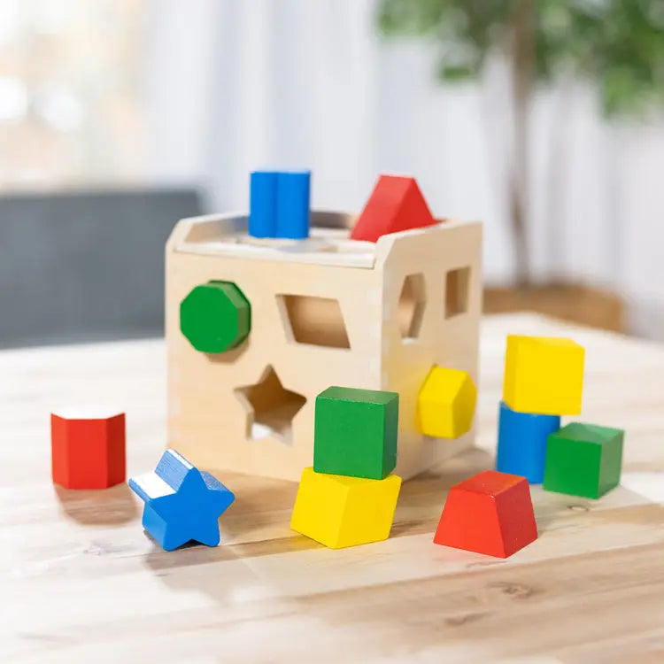 Wooden Shape sorter Box for kids